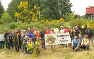 Who you gonna call? Broombusters! Volunteers take on Invasive Scotch Broom