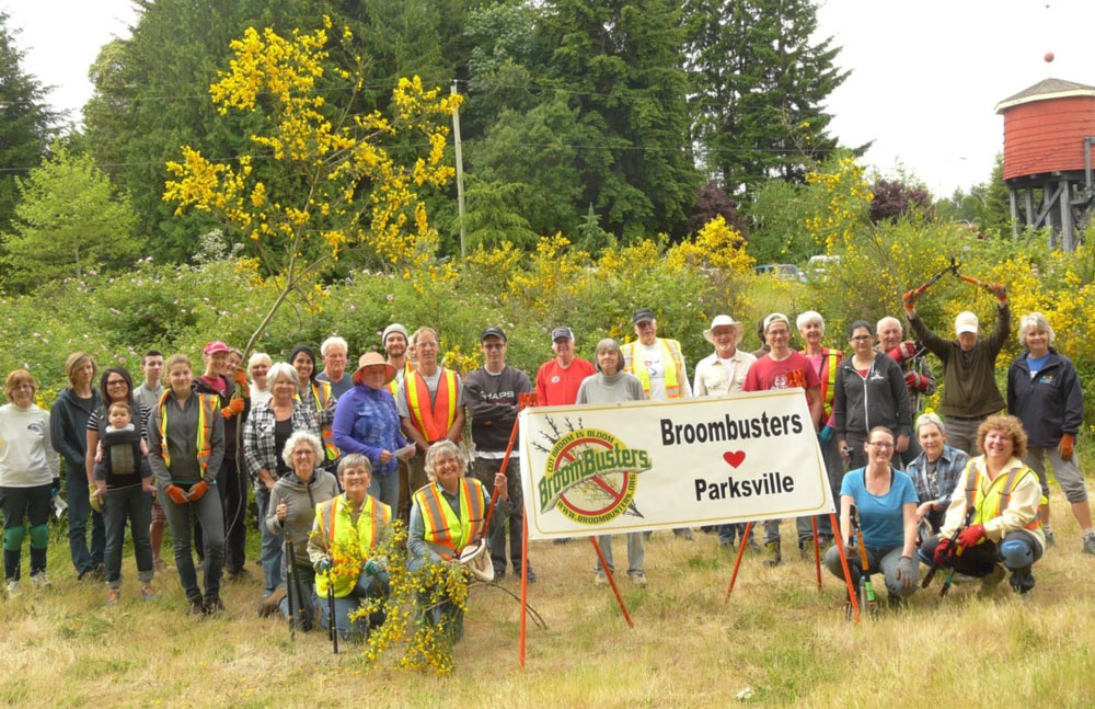 Who you gonna call? Broombusters! Volunteers take on Invasive Scotch Broom