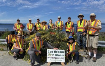 Good News!  Union of BC Municipalities passes NR51 ”Control of Scotch Broom”.