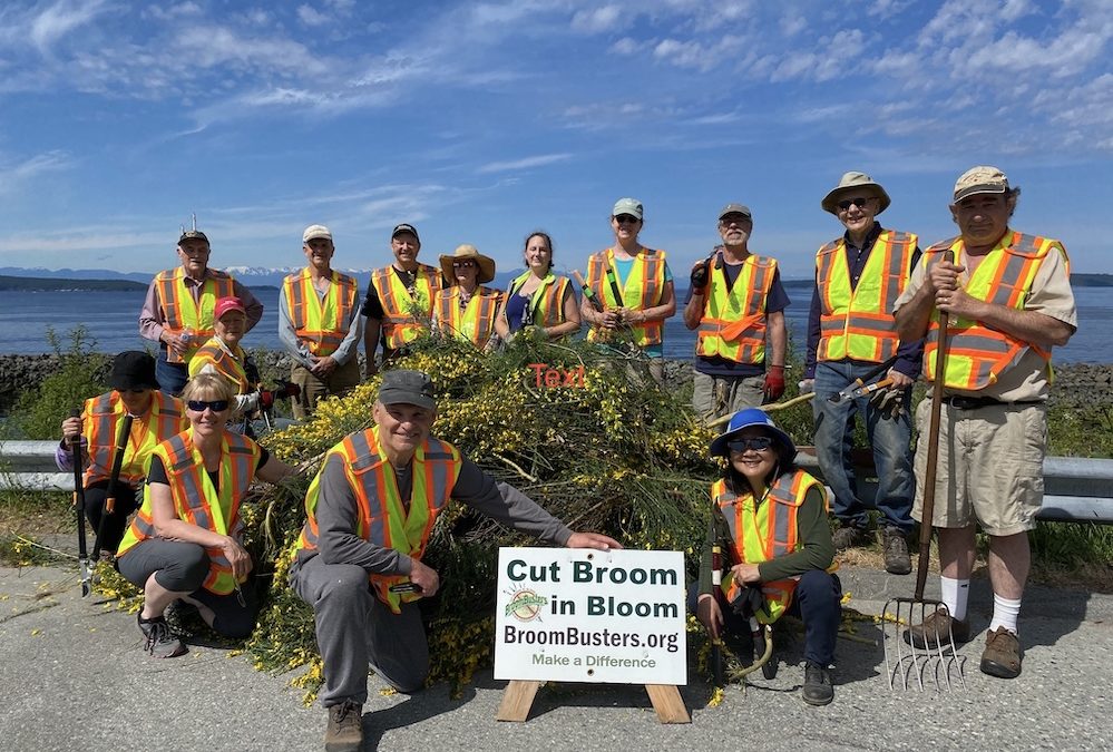 Good News!  Union of BC Municipalities passes NR51 ”Control of Scotch Broom”.